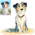 draw pet portrait into cartoon disney