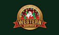 make mascot christmas light removal company logo