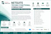 create netsuite scripts and customizations