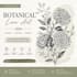 hand drawn botanical line art illustration