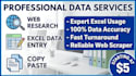 do expert excel data entry, copy paste and web research