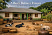 write immersive african fiction