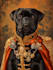 draw an awesome pet or animal