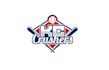 design unique baseball team logo