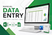 do manual data entry, excel data entry and copy paste work