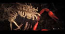 do 3d animal animation cgi animal model, 3d creatures animation vfx animal model