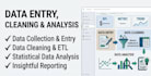 expert data entry, data cleaning, and data analysis in excel