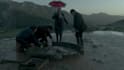 cinematic vfx shots, fire, blood with advanced compositing and cgi integration