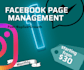 professionally manage your facebook page