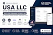 assist with US llc setup mercury wise and stripe onboarding