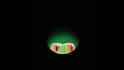 create interactive rive lottie animation website app mascot svg jason animation