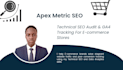 do technical SEO audit and ecommerce data tracking