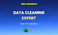 do excel data cleaning, data entry and CRM data entry