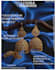 poster ,pamplet ,menu ,visiting card