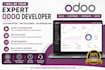 be your expert odoo developer for odoo customization erp and API integration