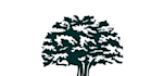 give creative tree logo design with new concepts