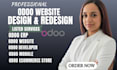 design odoo erp website, odoo developer, odoo implementation, odoo website
