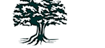 do professional tree logo design