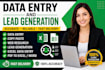 provide fast and accurate data entry services