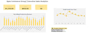 build dynamic excel dashboards and automated trackers