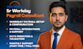 provide expert workday payroll consulting support and integrations