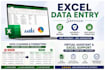 do excel data entry and formatting