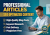 do professional SEO artical writing and blog posts