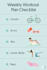 design a beginner, home, or gym workout routine for you