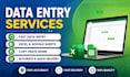 do fast and accurate data entry in excel and google sheets
