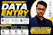 do professional data entry and excel spreadsheet work