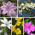create attention grabbing content
