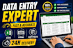 do data entry, PDF to word or excel, copy paste, typing
