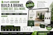 design stunning shopify branding to elevate your store