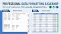design custom excel spreadsheets and format data professionally