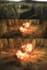 create 3d scary animation video, cgi horror movie and visual effect ads