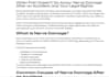 create SEO friendly legal content and blogs