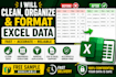 clean, organize and format excel or CSV data