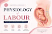 create professional medical and nursing PPT presentations