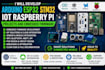 develop arduino esp32 stm32 iot raspberry pi projects and embedded firmware