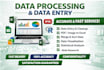 provide data entry type and processing
