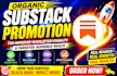 do substack newsletter setup, substack page link promotion to boost subscribers