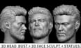 create custom 3d head sculpt, face bust printable character stl model