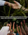 create high quality pinterest pins
