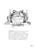 create a  black and white illustration