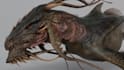 do 3d animal creature monster dragon dinosaur model with rigging and animation