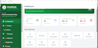 profesional full stack web development