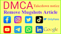 remove negative and defaming content from google under dmca