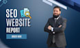 do professional SEO website report