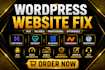 fix wordpress website issues fix hostinger website godaddy bluehost namecheap
