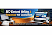 create SEO friendly content and responsive websites